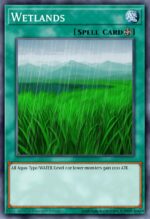 Wetlands